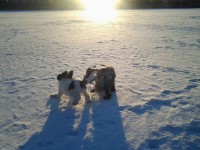 /album/ilpo/maalliskuu13-039-jpg/